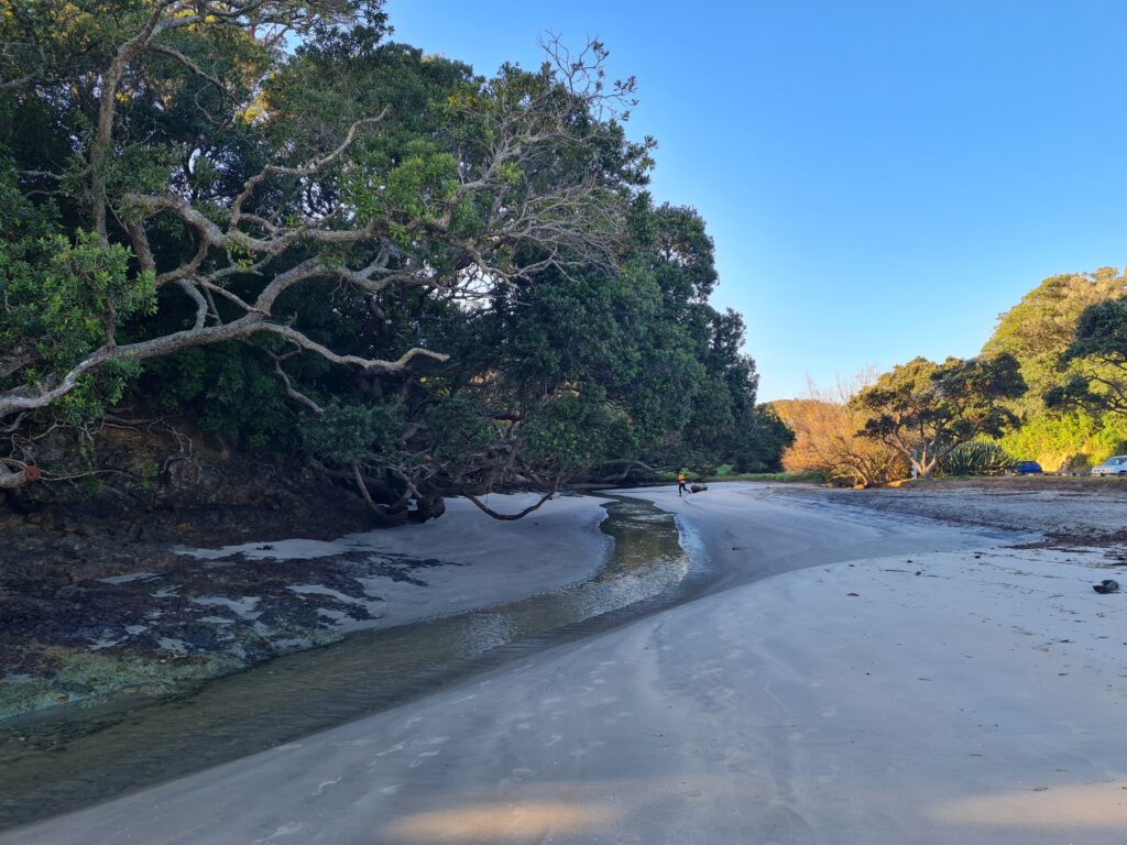 Waipu Coastal Walkway entry at the south end of Waipu Cove.