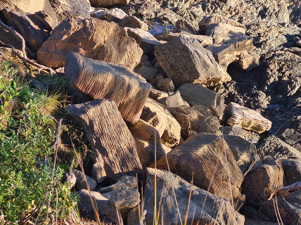 The unusual pancake rock formations on the Waipu Coastal Walkway track.