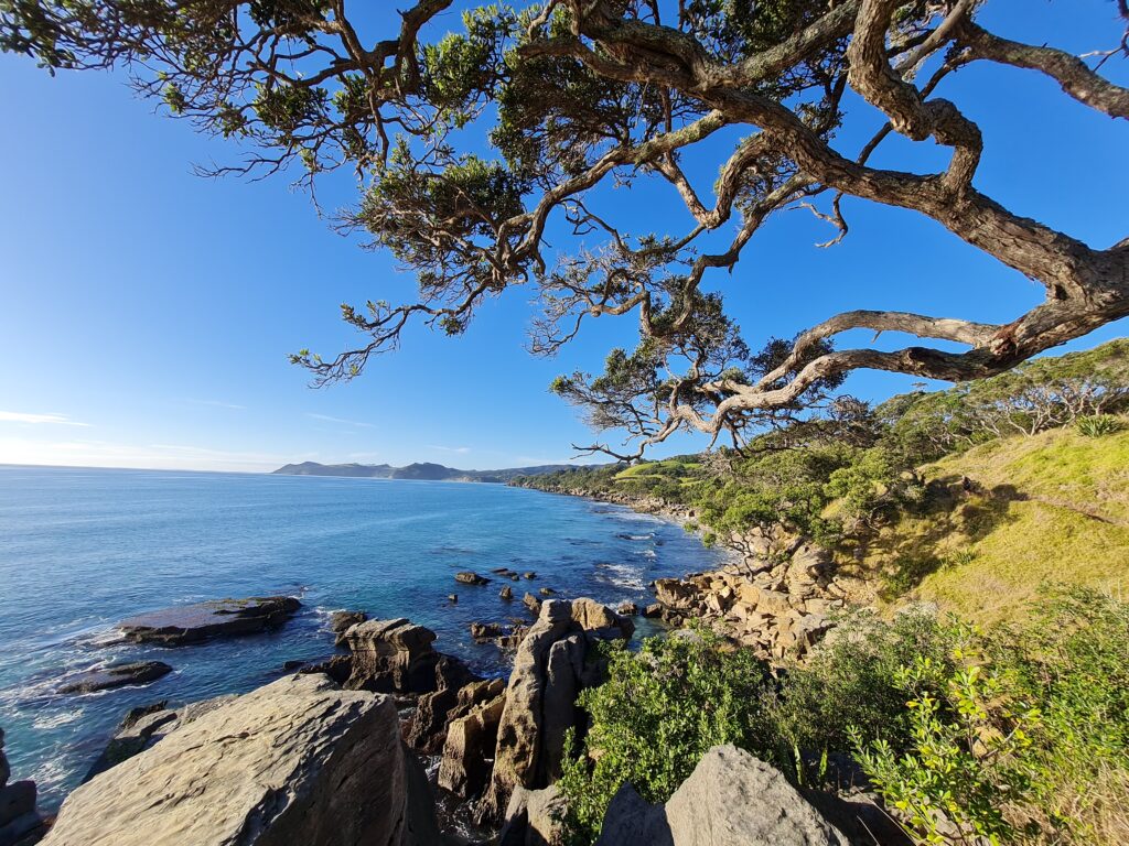 Views towards Langs Beach from the Waipu Coastal Walkway. 