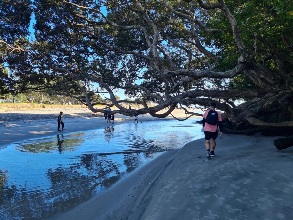 The stream around lowish tide on the Waipu Coastal Walkway track