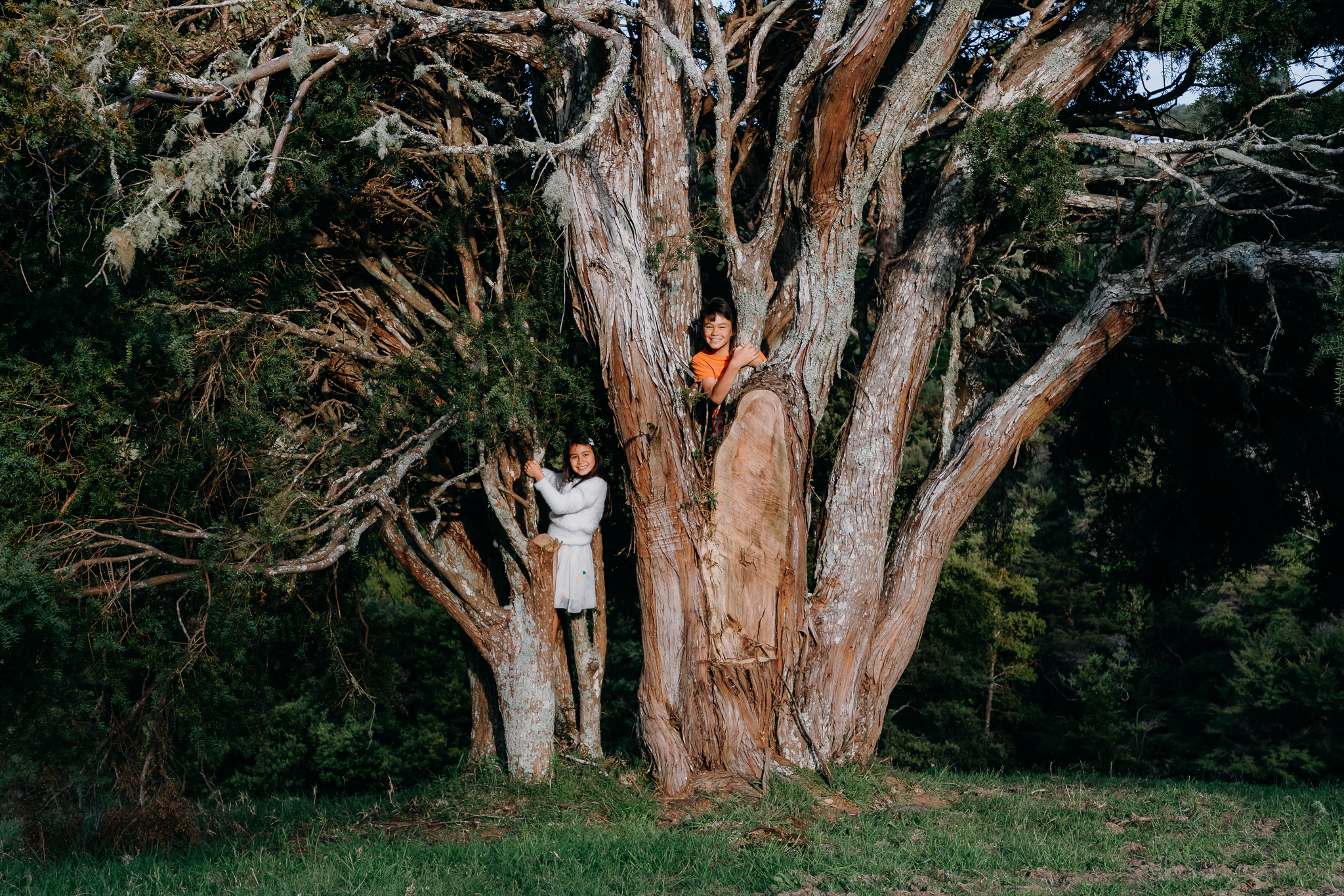 Whangarei photographer Tracey Morris captures photos of two children in their favourite tree.
